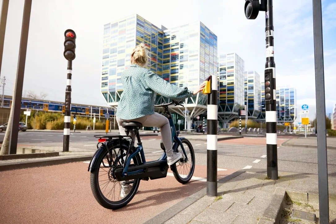 Gazelle Easyflow C7 Pine Green Glans DAMES - Afbeelding 8