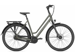 Gazelle Chamonix C8 Clay Green Mat Dames