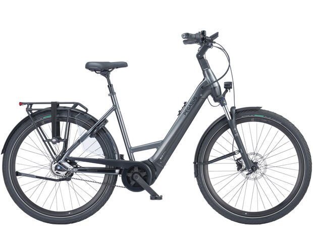 Pegasus Ravenna EVO 5F Belt NL Black Chrome Matt Dames