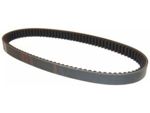 Merkloos V-snaar 10 inch 679x18.3 mio/china4t/sco gy6/tonik orig 1b01a1a01