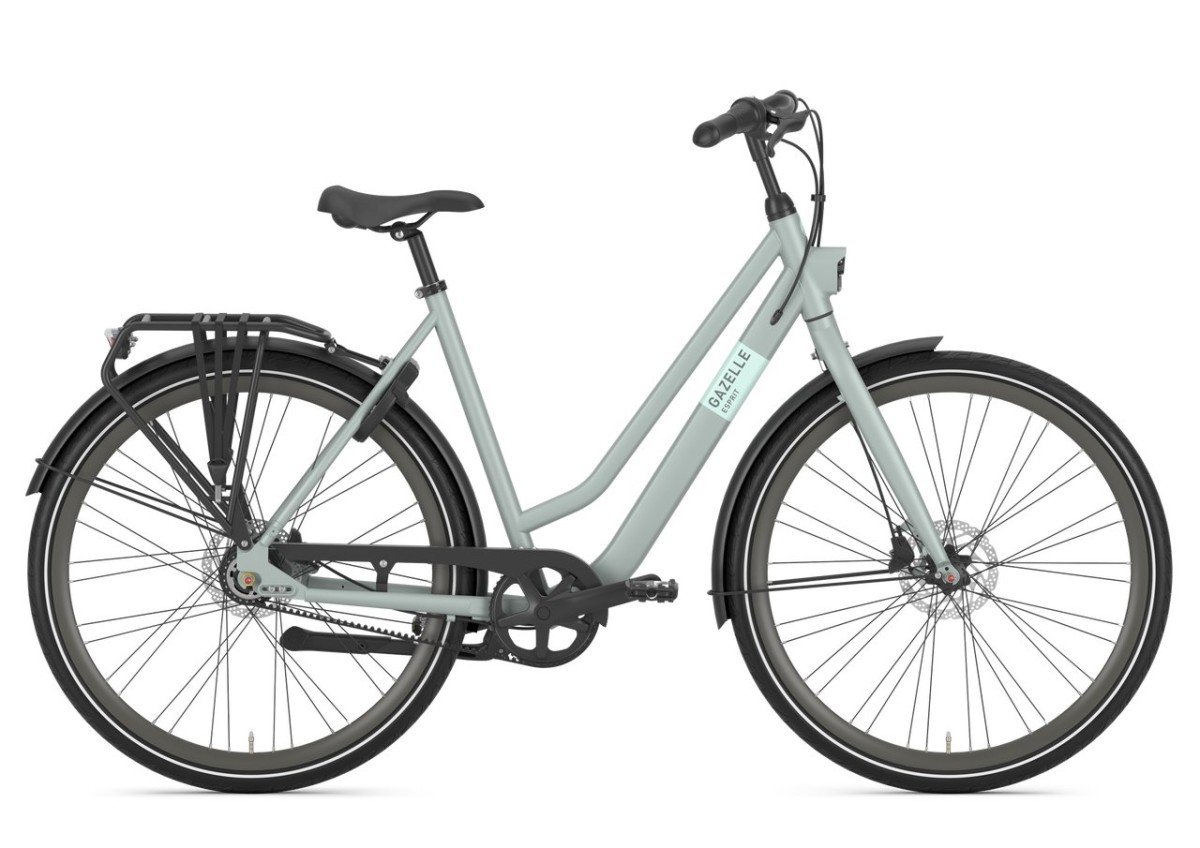 Gazelle Esprit Belt Light Olive Mat DAMES