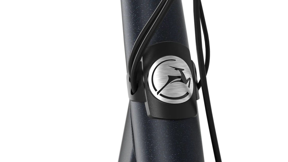 Gazelle Paris C7 Graphite Blue Mat Dames - Afbeelding 3