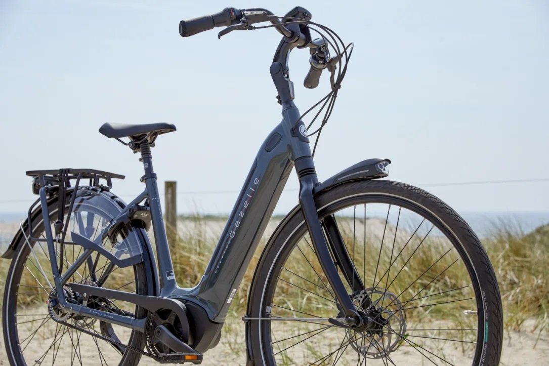 Gazelle Grenoble C5 Anthracite Grey Glans heren - Afbeelding 2