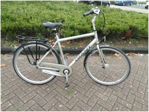 Giant Motion Zilver/wit Heren