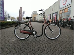 Sparta Entree (EXTRA ) Bruin